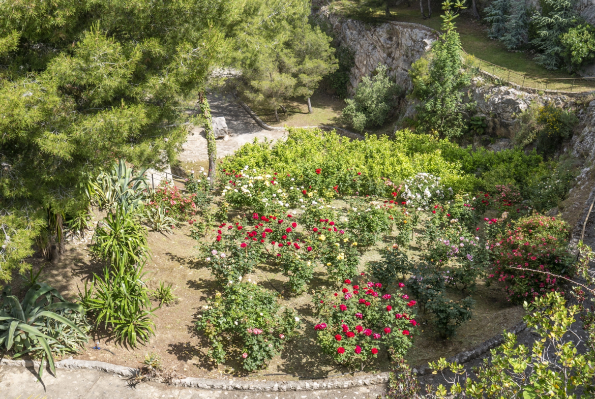 Villa Panoramica Ventimiglia Borgo Grimaldi | Liguria - giardino botanico