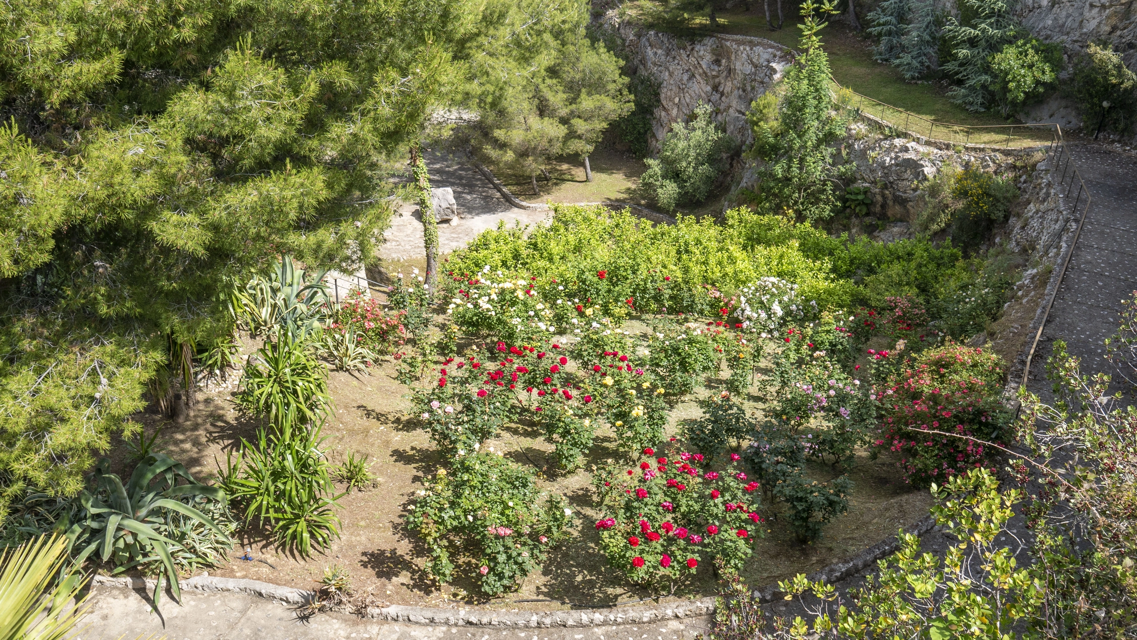 Villa Panoramica Ventimiglia Borgo Grimaldi | Liguria - giardino botanico