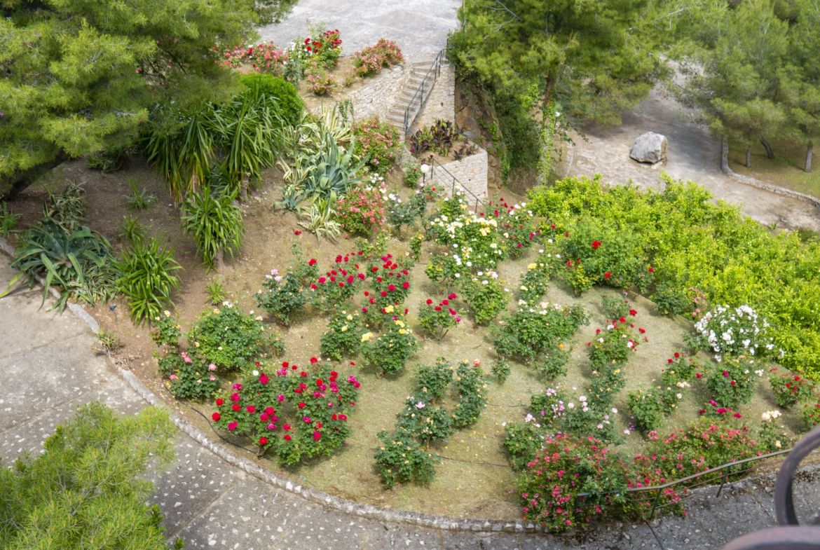 Villa Panoramica Ventimiglia Borgo Grimaldi | Liguria - giardino botanico 2