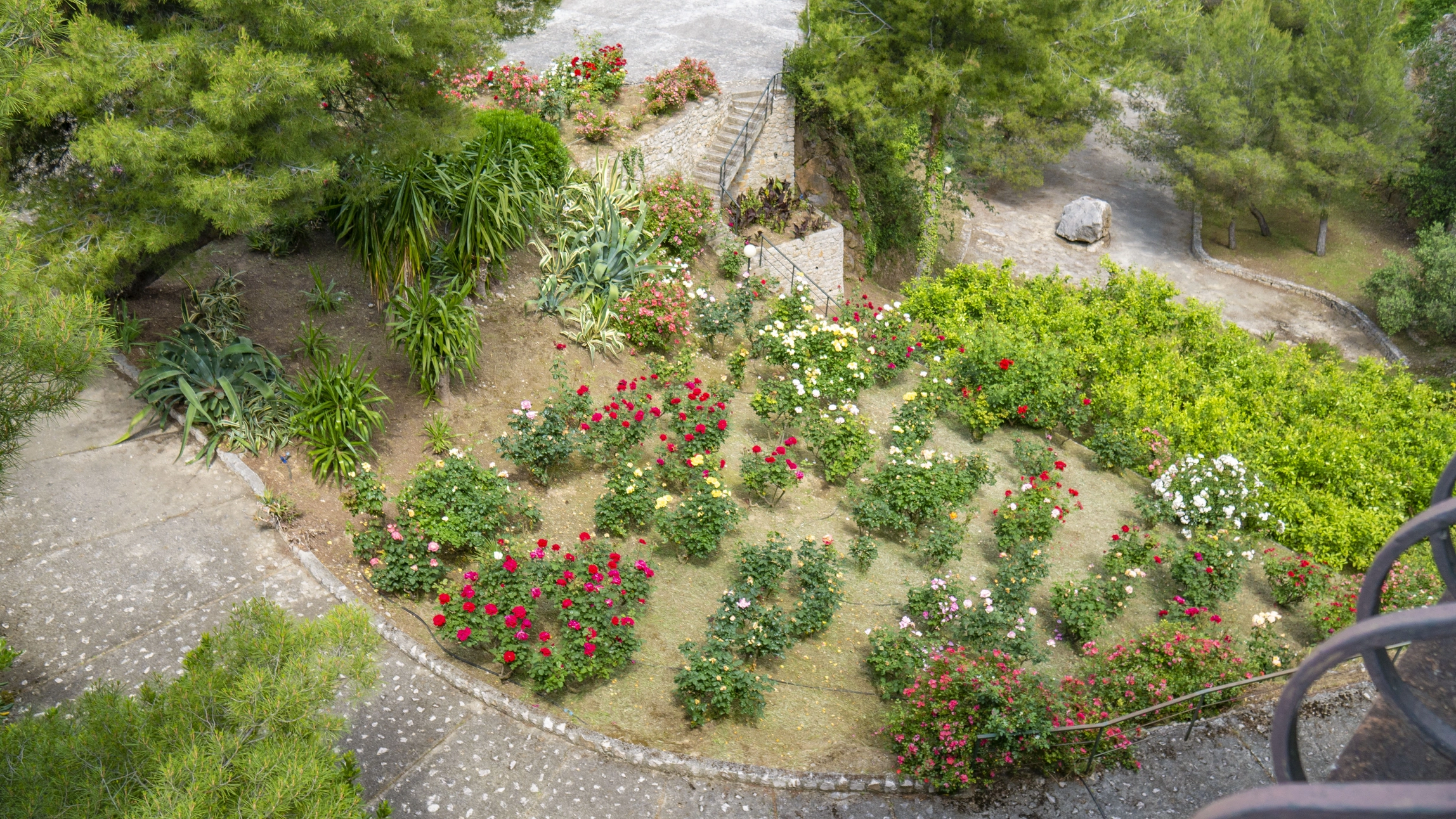 Villa Panoramica Ventimiglia Borgo Grimaldi | Liguria - giardino botanico 2