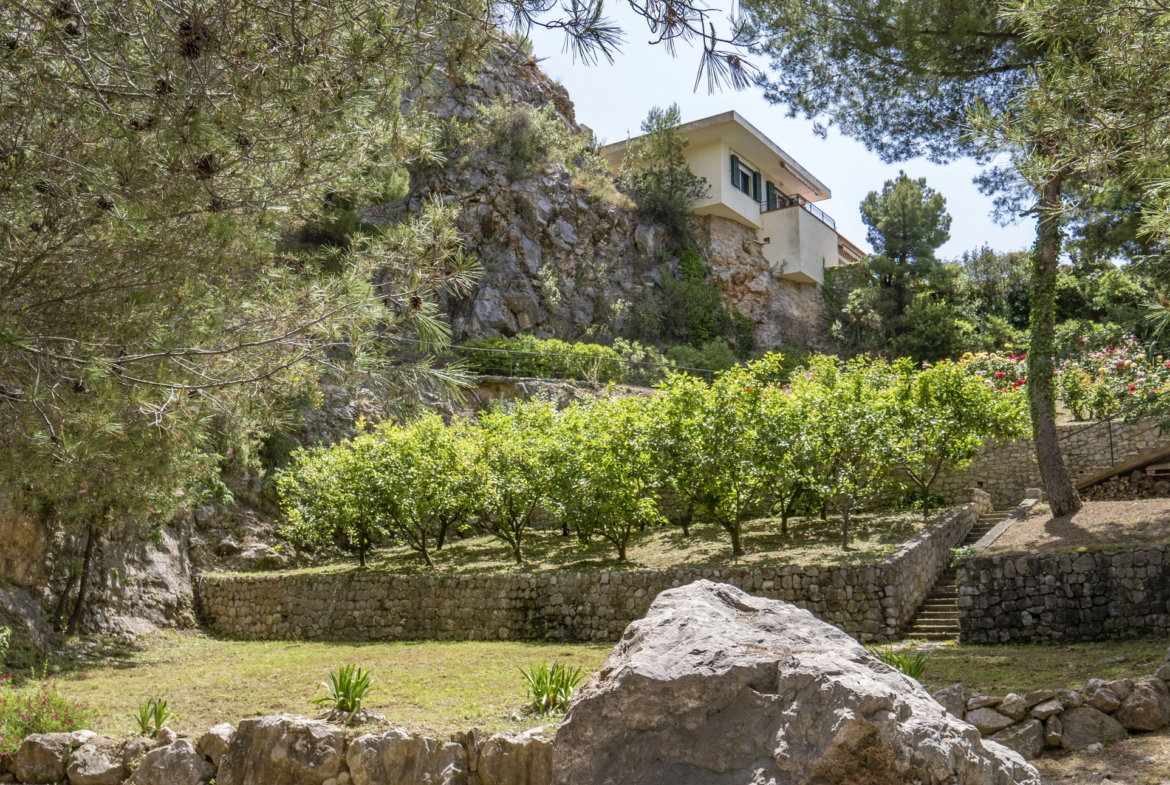 Villa Panoramica Ventimiglia Borgo Grimaldi | Liguria - giardino botanico 2