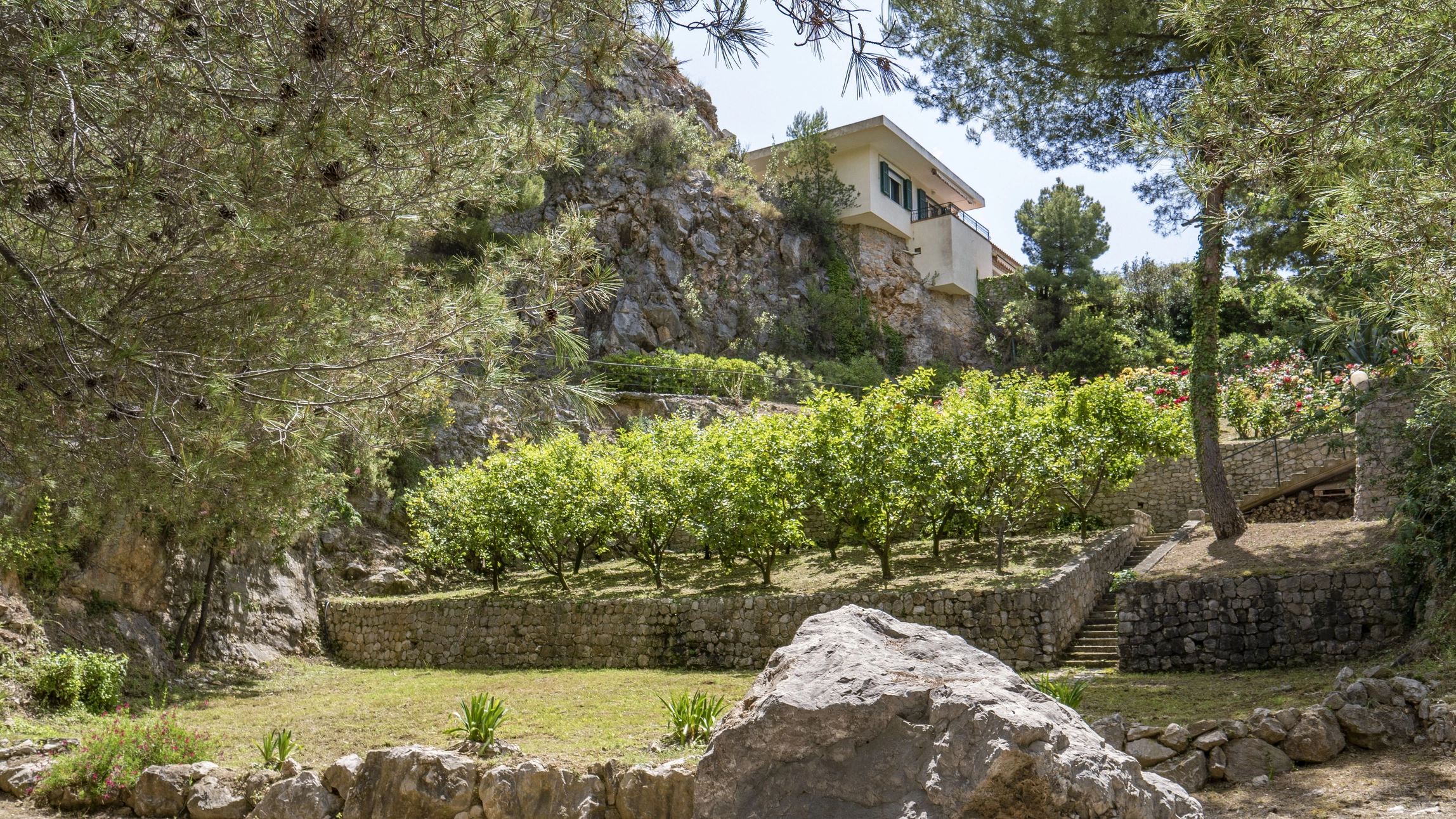 Villa Panoramica Ventimiglia Borgo Grimaldi | Liguria - giardino botanico 2