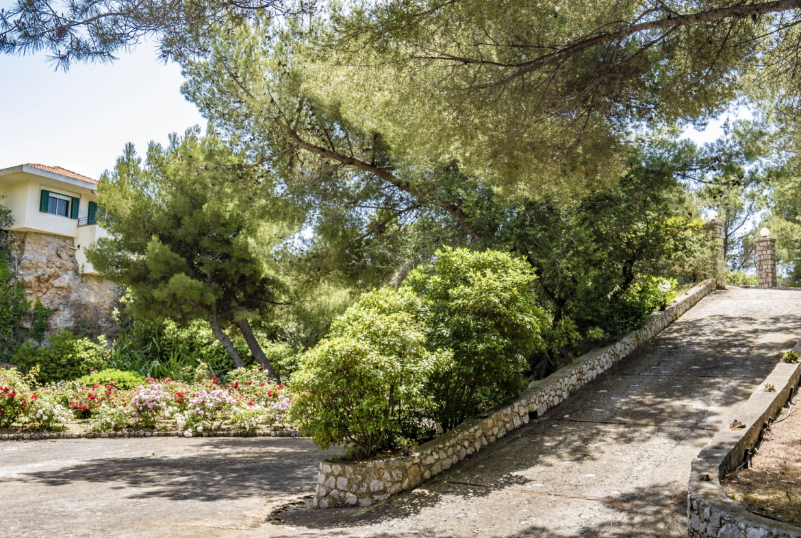 Villa Panoramica Ventimiglia Borgo Grimaldi | Liguria - ingresso parcheggio giardino botanico